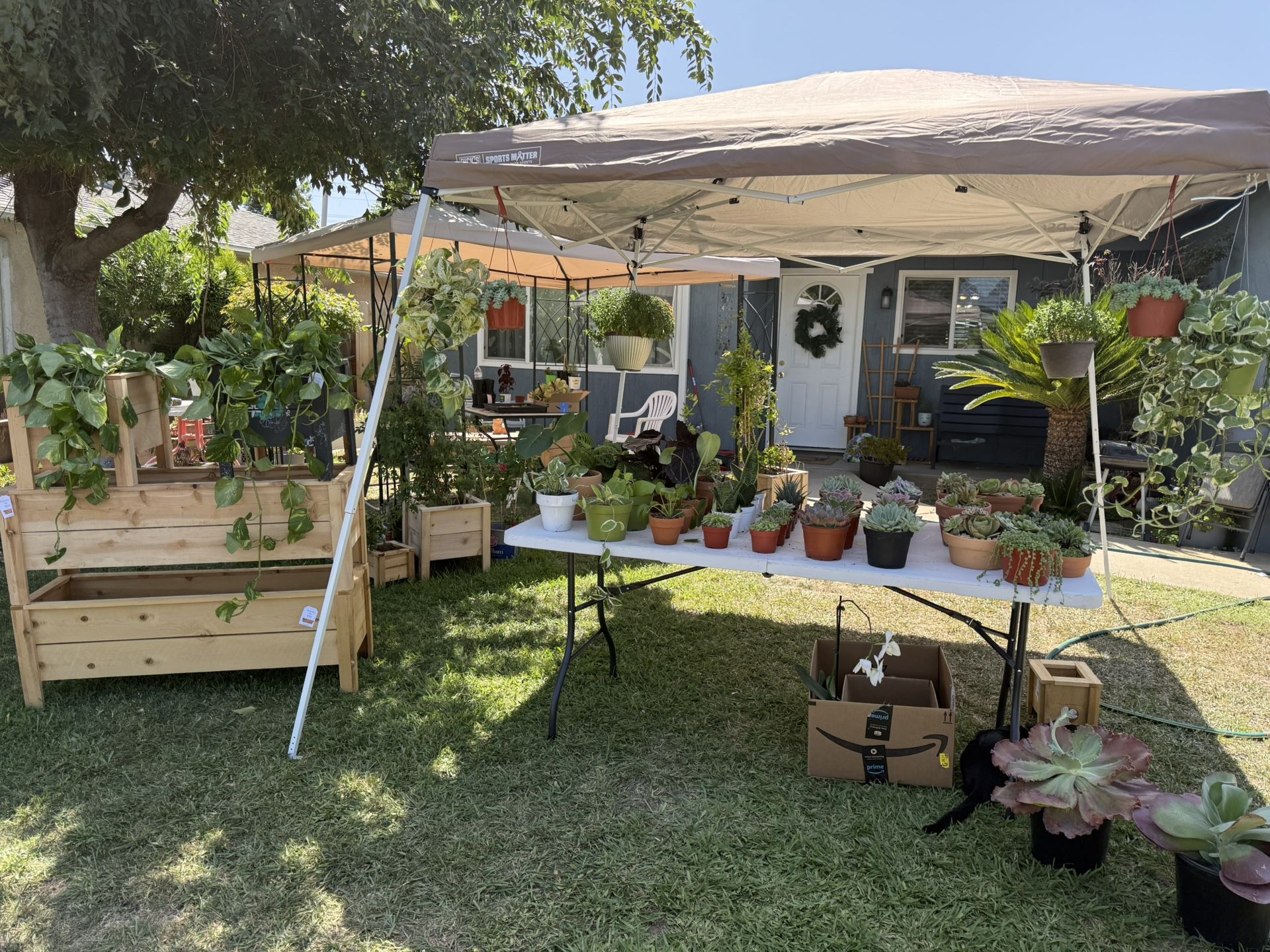 Plant Sale/Yard Sale - SHAW AND MARKS