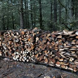 Firewood