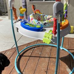 Fisher Price Baby Bouncer Animal Activity Jumper