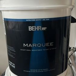5 gal. Ultra Pure White Satin Enamel Exterior Paint & Primer