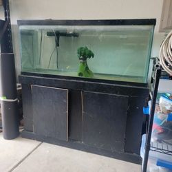 Fish Tank 