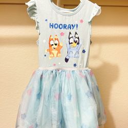 Bluey Dress