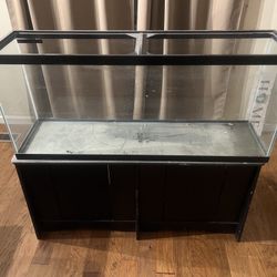 Fish Tank and stand