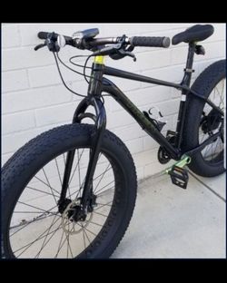Trek Fatboy Size Large Hydraulic Disc Brakes Cost 2300$ Selling 900 $  Garage Kept  