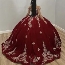 Quince Dress Brand New. 