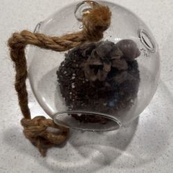 Hanging Glass Terrarium