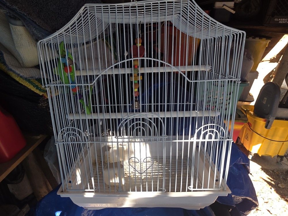 Bird Cage 