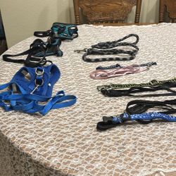 Pet Collars & Harnesses With Leashes