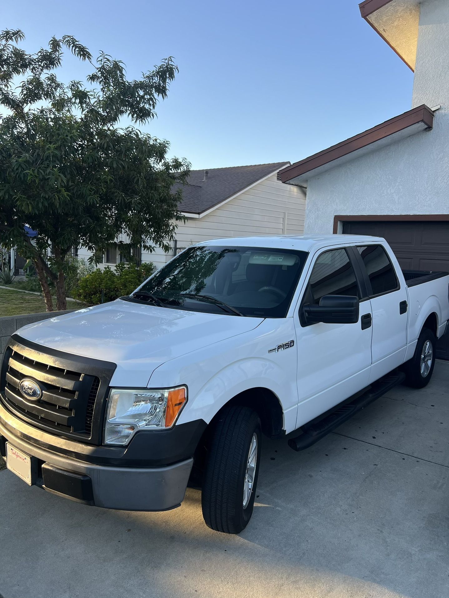 2009 Ford F-150