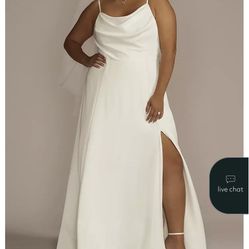 David’s Bridal Plus Size Wedding Dress