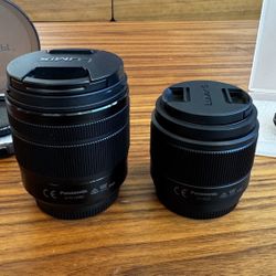 LUMIX G Vario 12-60 Lens