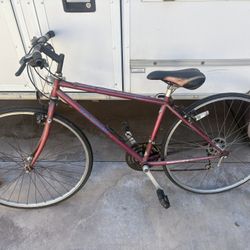 25’ Aluminum Bike