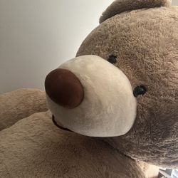 7 Ft Teddy Bear