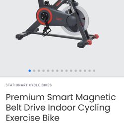 Sunny Exercise Bike
