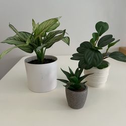 Assortment Of Small Fake Table Plants