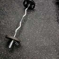 75 Lb Curl Bar 
