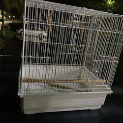 Bird Cage 