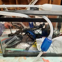 10 Gallon Fish Tank With Everything