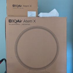 IQ Air Atem X Air Filter 
