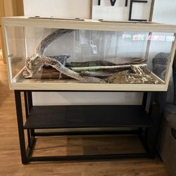 Reptile Aquarium 