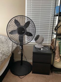 Standing Fan