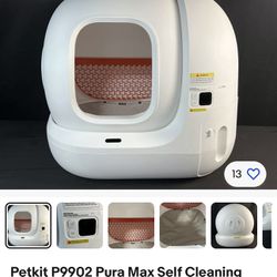 self cleaning cat litter 