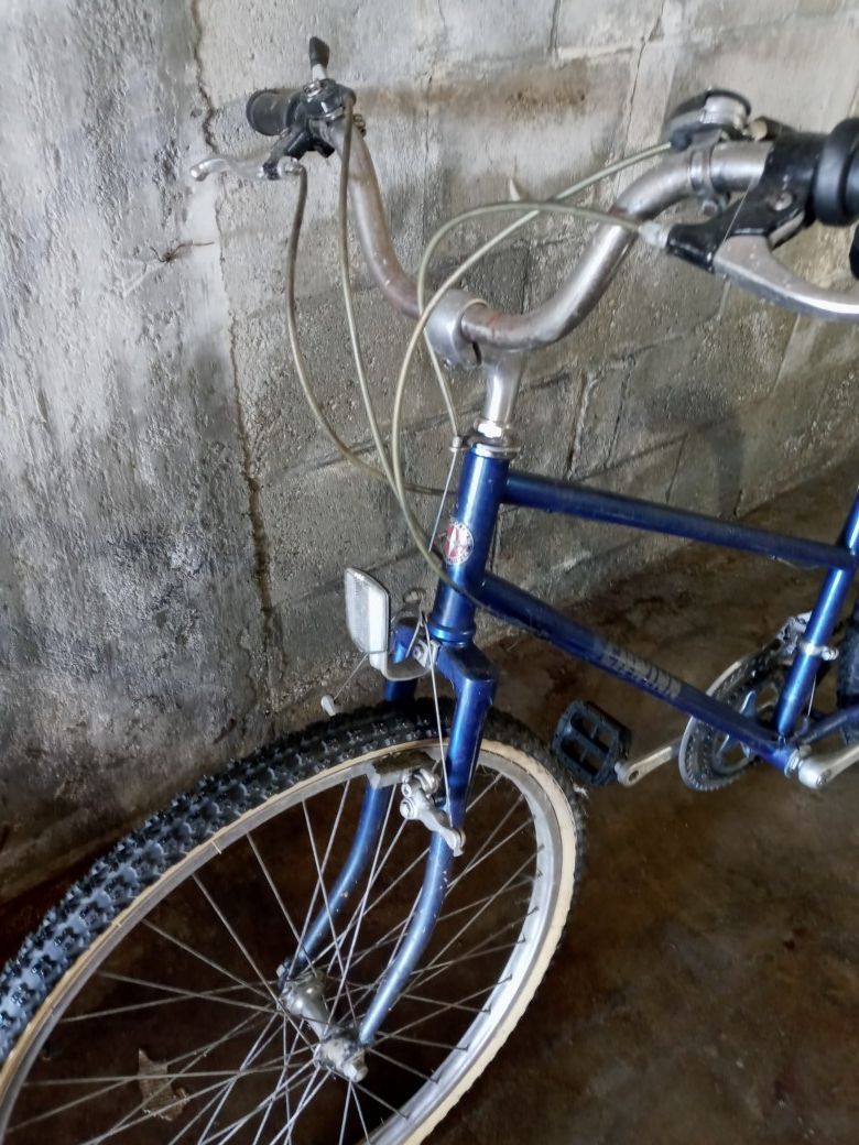 Shwin bike
