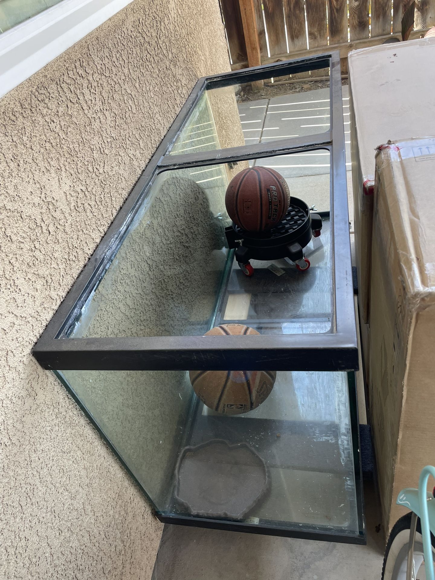90 Gallon Fish Tank