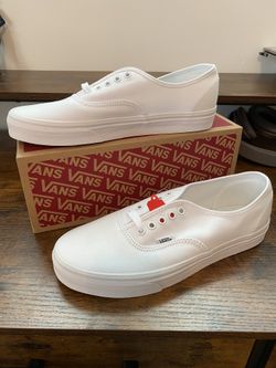 Vans Authentic Skate Shoes
