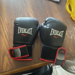 Boxing Gloves 