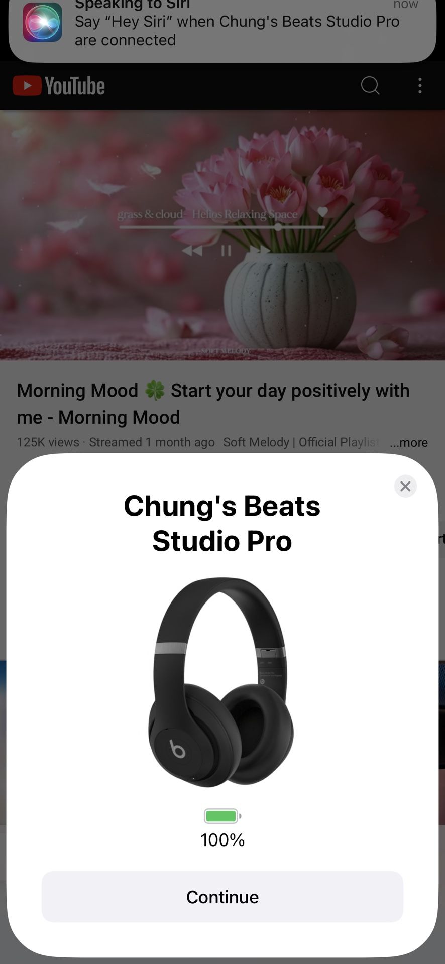 Beats by Dr. Dre - Beats Studio Pro Wireless Noise Cancelling Over-the-Ear Headp
