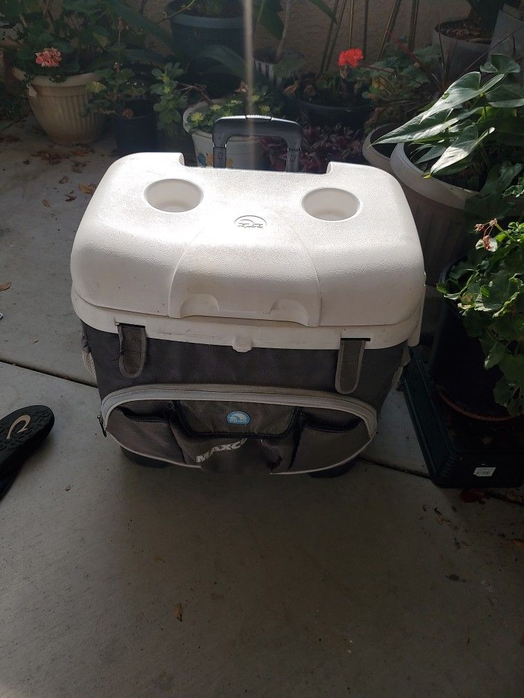 Cooler IGLOO