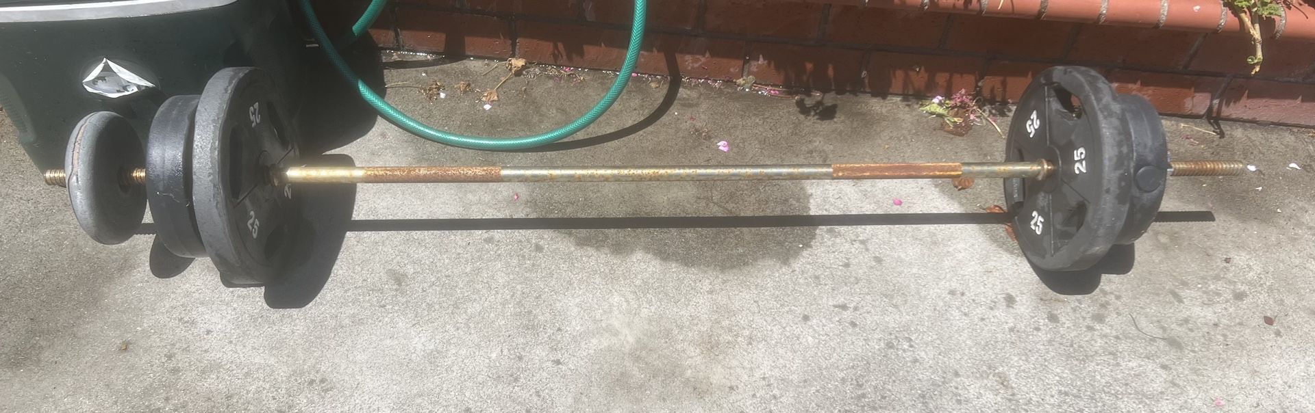Standard Barbell With 25lb Plates