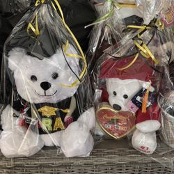 Graduation Teddy Bear 