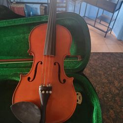 Violin Company Spectrum