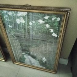 Dos Cuadro $149 Cada Uno 