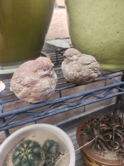 Yard Decorations