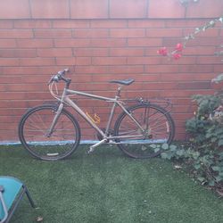 Men's Bicycle TREK ALPHA