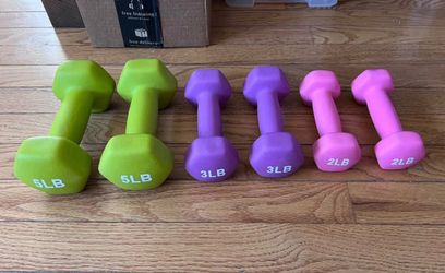 Set of Gym Weights