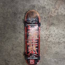 Skate Board