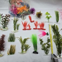 Aquarium Plants and Decor