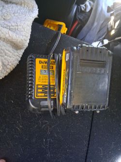 Dewalt battery and charger