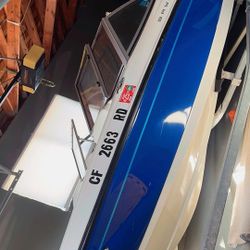 2006 Bayliner 9 Seater With Fishing Attachment & Trailer 