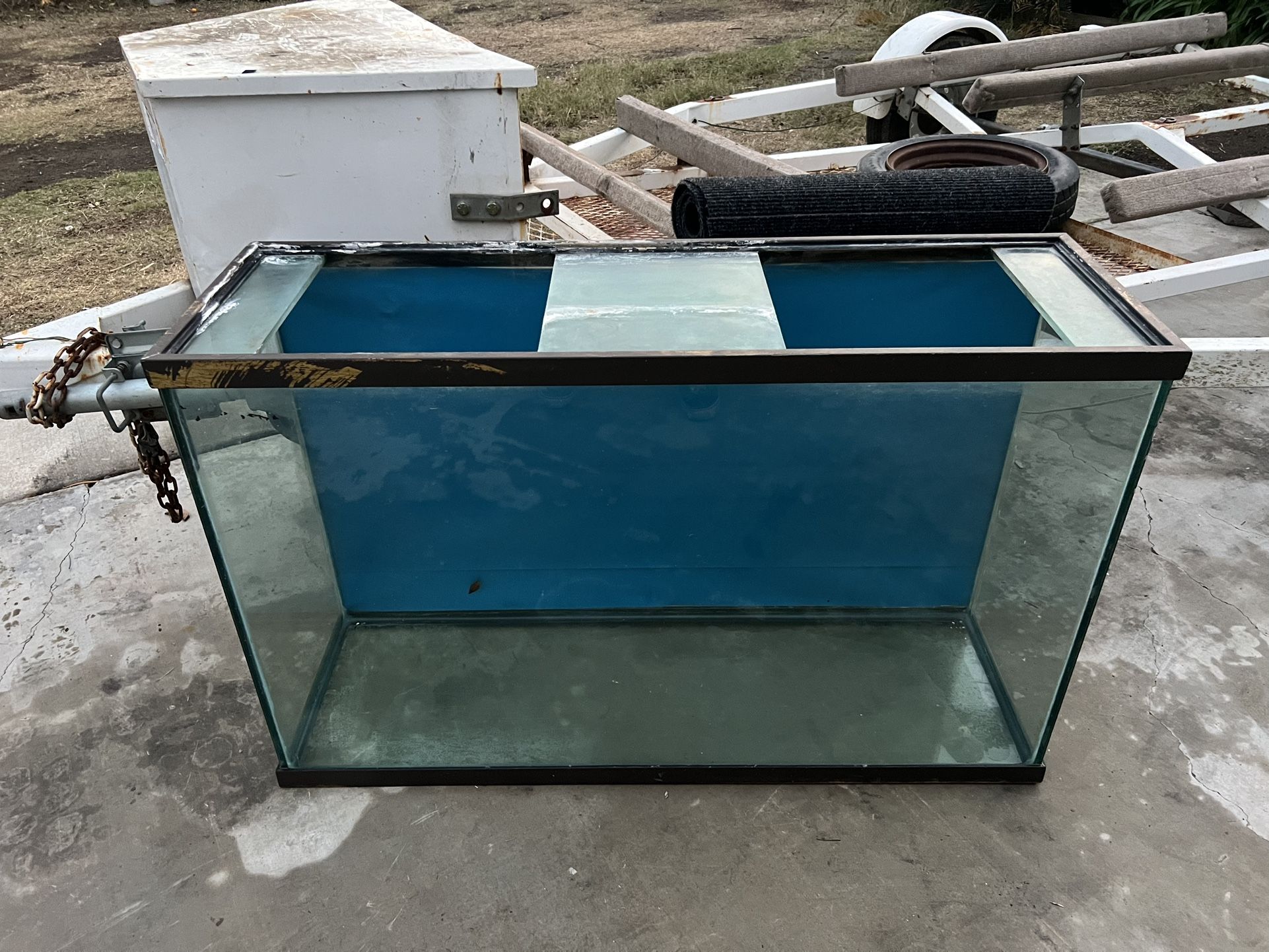 Fish Tank