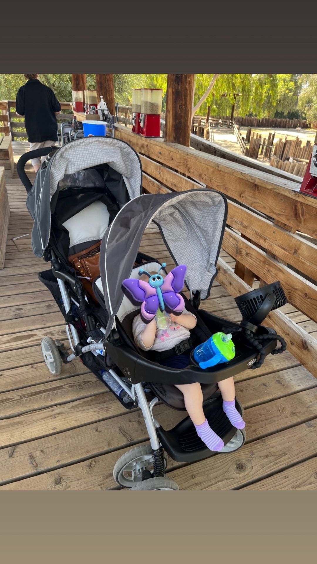 Double Stroller