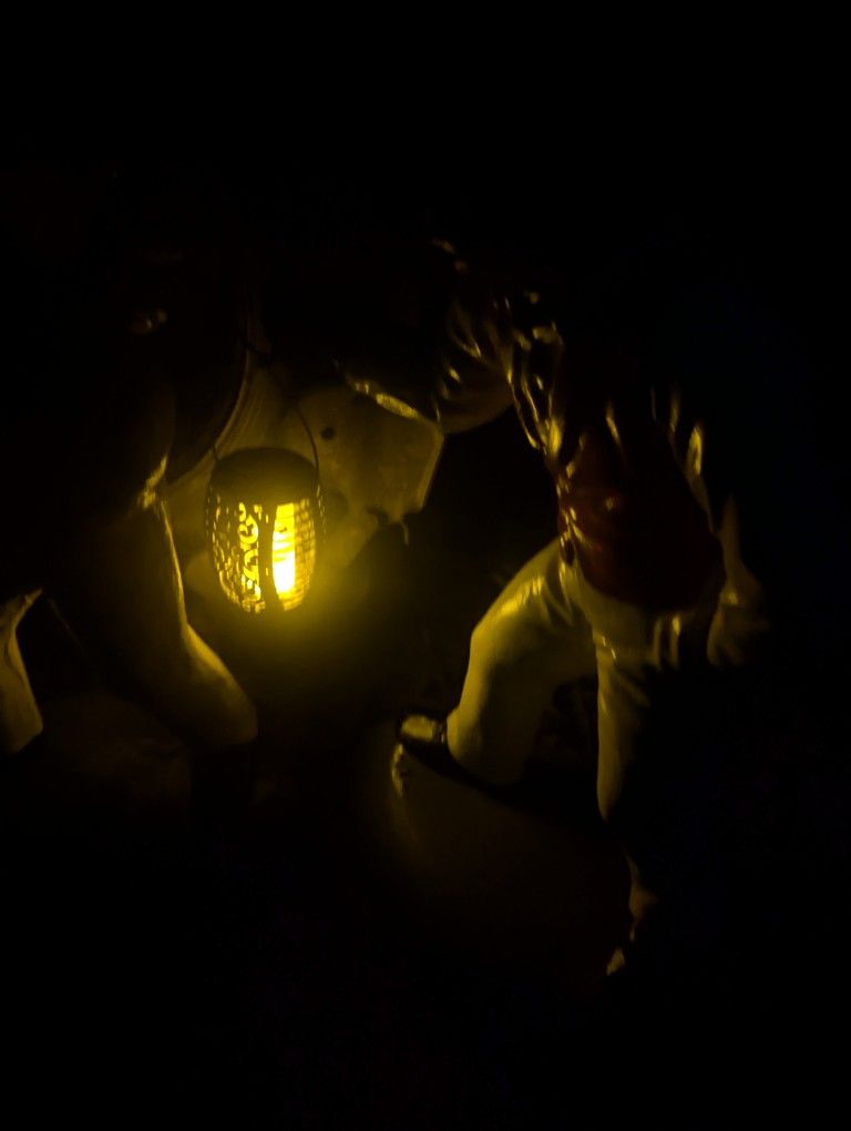 Vintage landscape Lamps