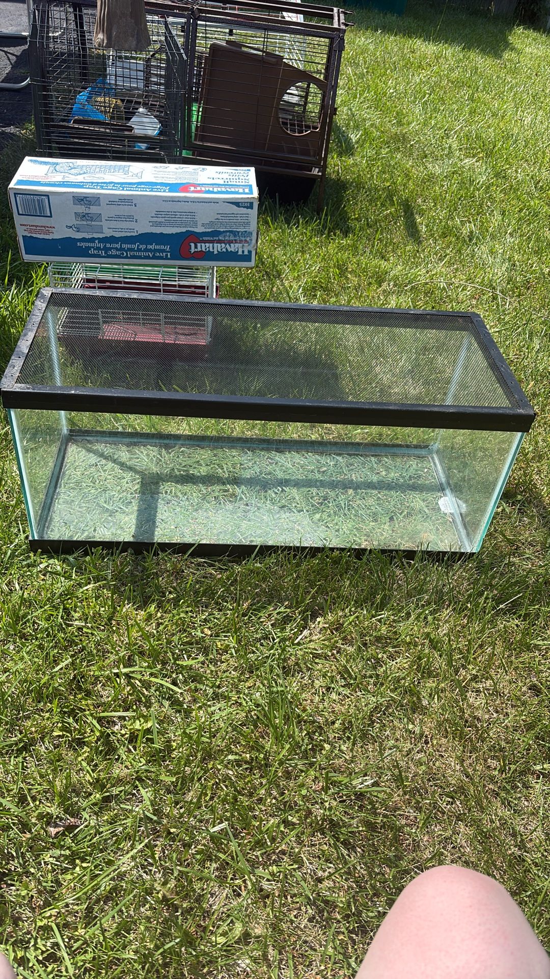 Reptile Tank