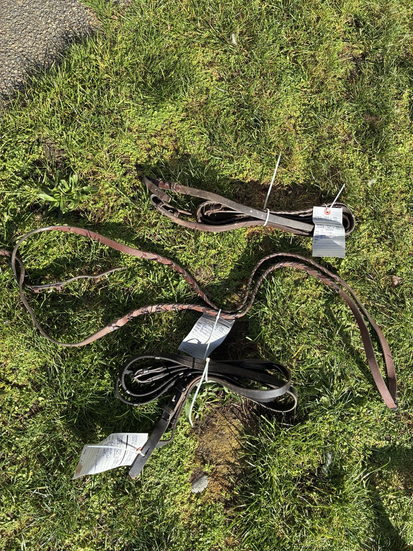 Horse Reins