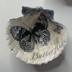 Gorgeous Decoupaged Butterfly Shell. See Pictures