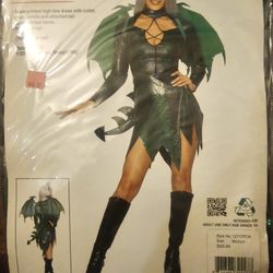 Dragon Costume